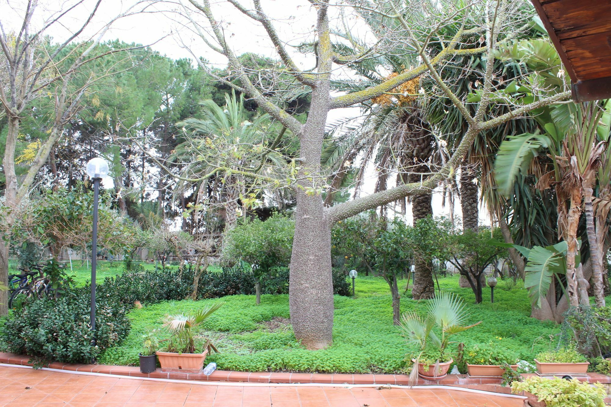Villa Delle Nifee Mazara del Vallo Exteriör bild